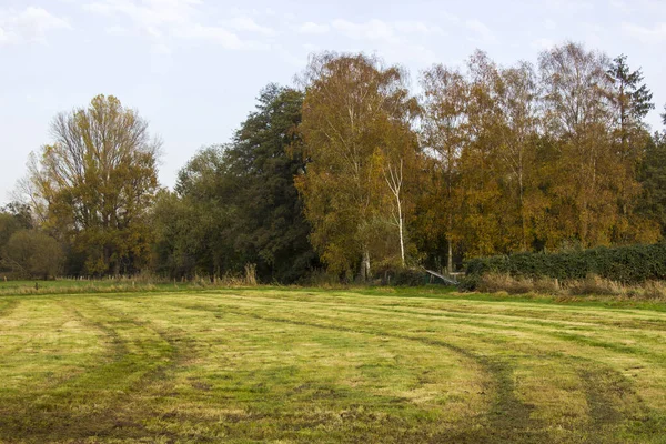 Landschap Duitsland Nederrijn Gewest — Stockfoto