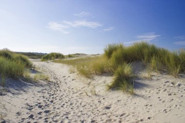 Kum tepeleri, Renesse, Zeeland, Hollanda