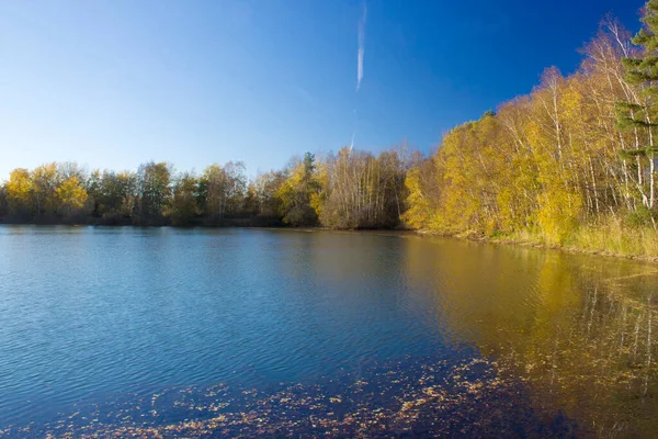 Landschaft Nationalpark Maasduinen Den Niederlanden — Stockfoto