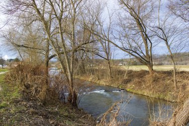  Aşağı Avusturya 'da Pitten Nehri Kötü Erlach' ta