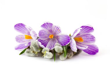 Beyaz arka planda çiçek ve am söğüt dalları