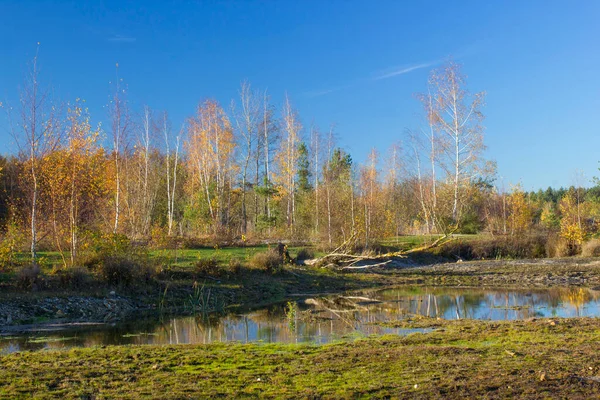 Krajobraz Parku Narodowym Maasduinen Holandii — Zdjęcie stockowe