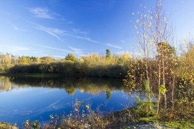 Hollanda 'daki Maasduinen Ulusal Parkı' nda manzara