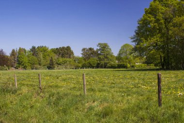 Alman kırsal alanı, Aşağı Ren Bölgesi, Almanya