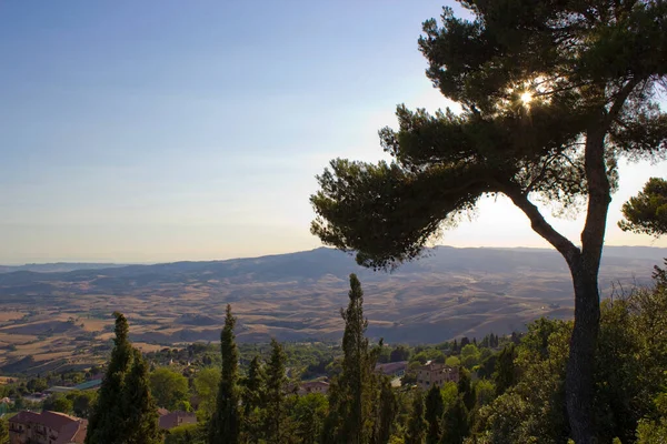 Blick Auf Typische Toskanische Landschaft Sommer Italien — Stockfoto