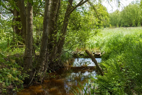 Deutsche Landschaft Niederrhein Deutschland — Stockfoto