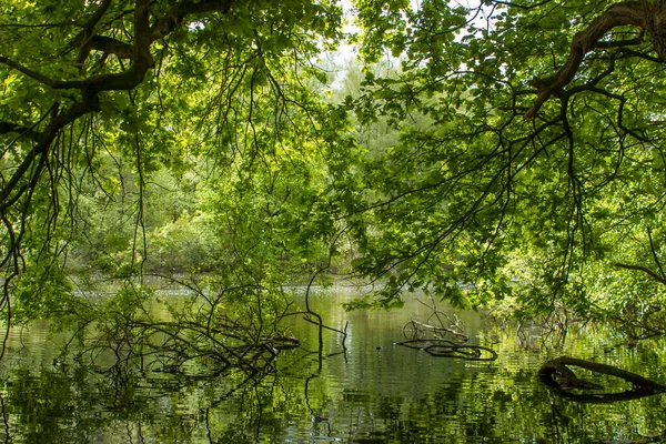 Paysage Rural Allemand Basse Rhénanie Allemagne — Photo