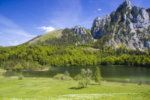 Vista Sobre Lago Laudachsee Montanha Katzenstein Perto Gmunden Áustria — Fotografia de Stock