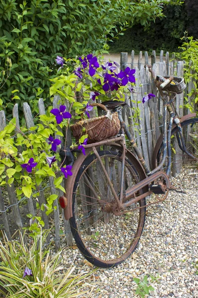Vieux Vélo Vintage Avec Panier Sur Une Clôture Bois — Photo