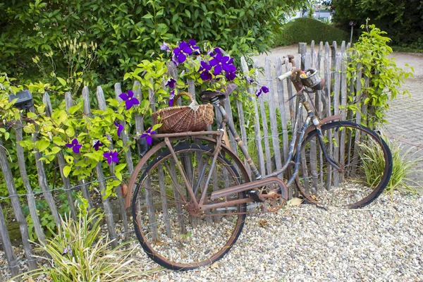 Vieux Vélo Vintage Avec Panier Sur Une Clôture Bois — Photo