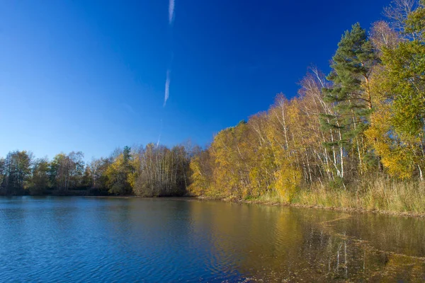 Landschaft Nationalpark Maasduinen Den Niederlanden — Stockfoto