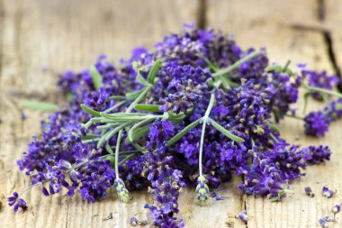Eski ahşap arka planda lavanta çiçekleri