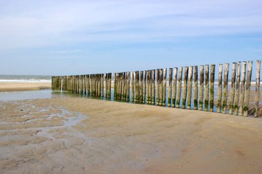Hollanda, Renesse sahilindeki tahta kazıklardan yapılmış dalga kırıcı.