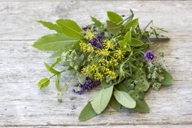 Ahşap arka planda taze toplanmış otlar.