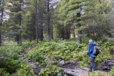 Dağlarda yürüyen adam, Avusturya 'da Alpler, Steiermark