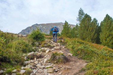 Dağlarda yürüyen adam, Avusturya 'da Alpler, Steiermark
