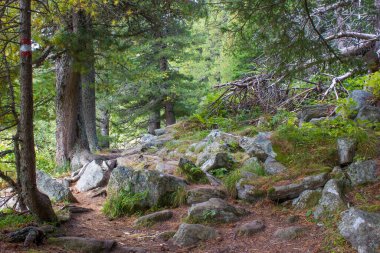 Austian Alps, Steiermark, Avusturya 'da manzara