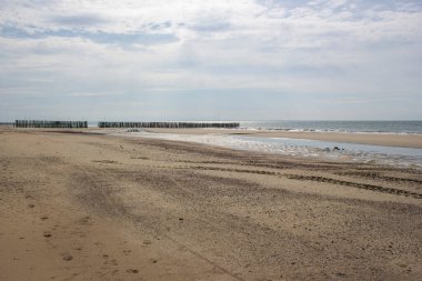 Hollanda, Haamstede 'deki tahta kazıklardan yapılmış dalga kırıcı.