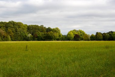 Alman kırsal alanı, Aşağı Ren Bölgesi, Almanya