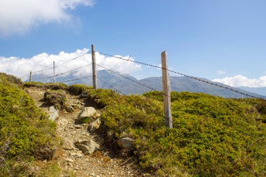 Avusturya 'daki Lienz Dolomitlerinin manzarası. Büyük Alp dağları. Doğu Tyrol