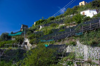 Sentiero del Limoni - Minori 'den Maiori' ye, Campania, İtalya 'ya Amalfi Sahili boyunca yürüyüş yolu