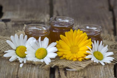 bal bir çiçek - calendula ve papatyalar