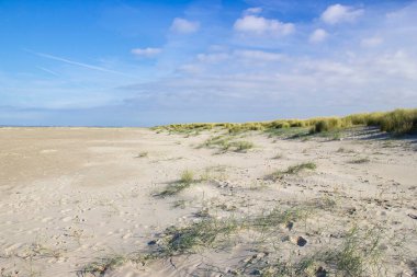 Kum tepeleri, Renesse, Zeeland, Hollanda