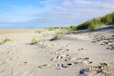 Kum tepeleri, Renesse, Zeeland, Hollanda