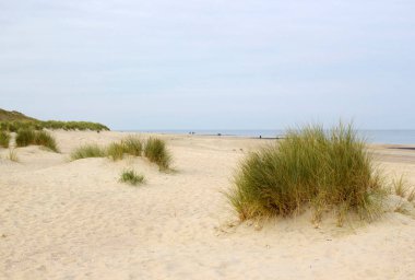 Kum tepeleri, Renesse, Zeeland, Hollanda