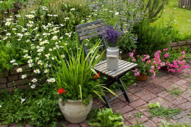 Bahçedeki bitki sarmalı taze bitkiler ve çiçeklerle dolu.