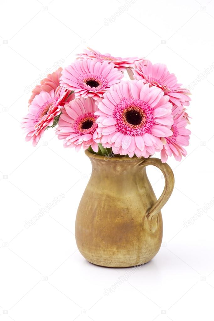 ピンク ガーベラの花瓶 ストック写真 C Mira Drozdowski Gmx De ピンク ガーベラの花瓶 ストック写真 C Mira Drozdowski Gmx De