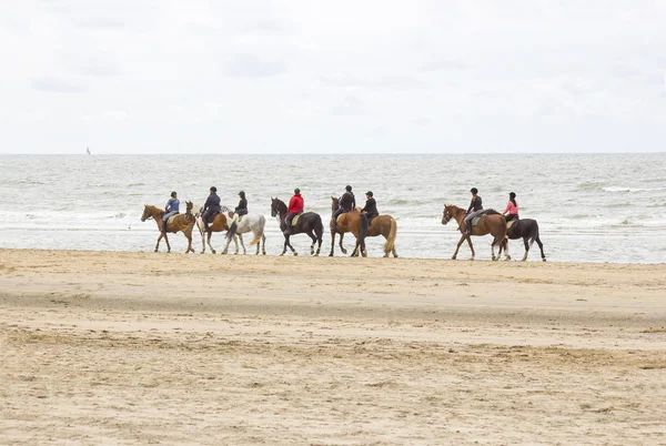 Всадники на лошадях на пляже рядом с Северным морем — стоковое фото