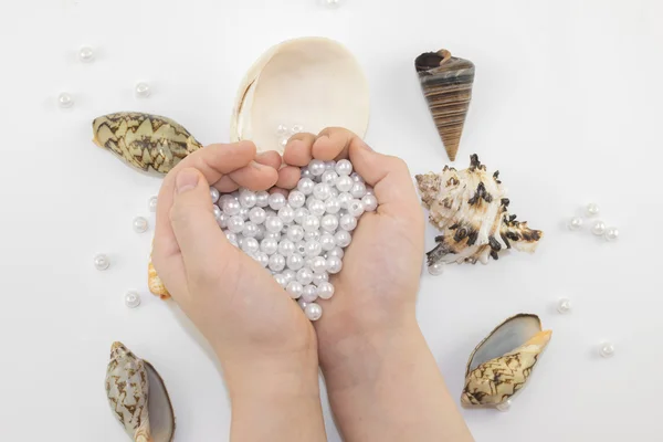 hands with pearl beads and seashells