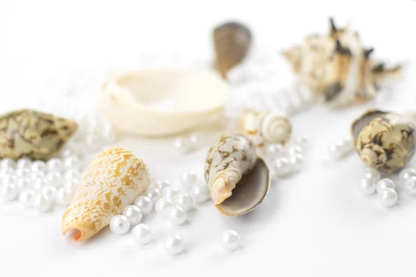 Jewelry box decorated with seashells — Stock Photo © gusenych1982 #12644765