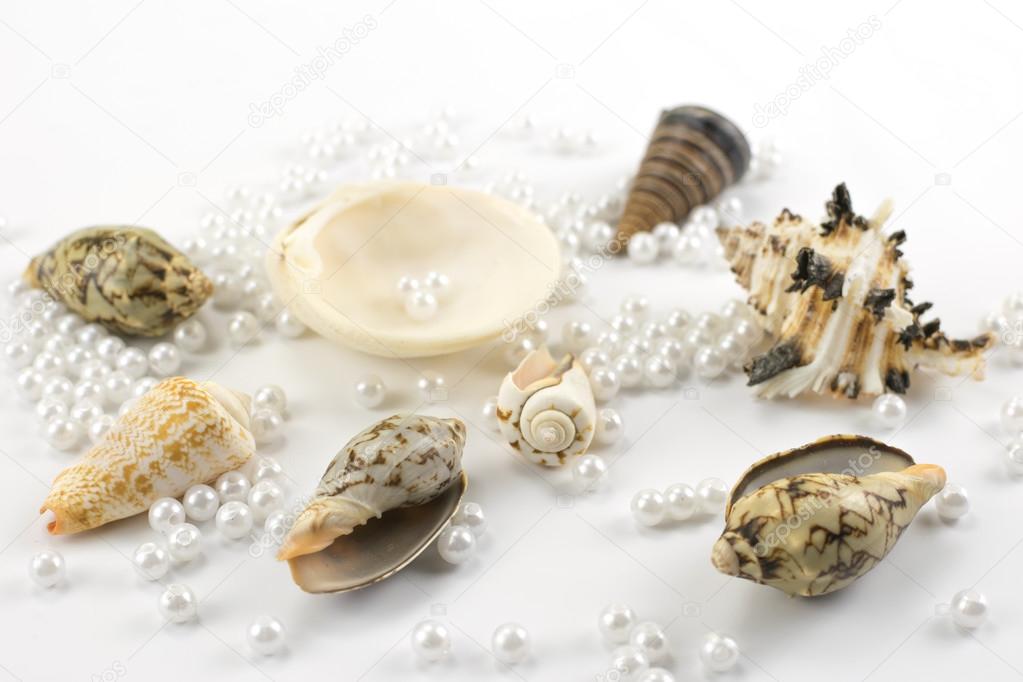 pearl beads and seashells