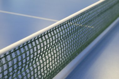 Yeşil Tenis pingpong için net