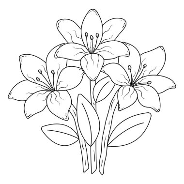 Three black line lilies, vector monochrome lily bouquet, coloring page
