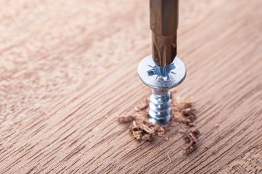 Screwdriver screw in a wood oaks plank. Self-tapping screw for PZ3 bit. Screws macro photo. Construction abstraction. Industrial background. clipart