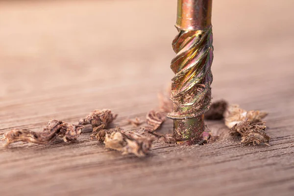 Tornavida, meşe ağacından bir kalasa vida takıyor. Torx 25 bit için kendi kendine dokunan vida. Makro fotoğrafı vidalıyor. Yapı soyutlaması. Sanayi geçmişi.