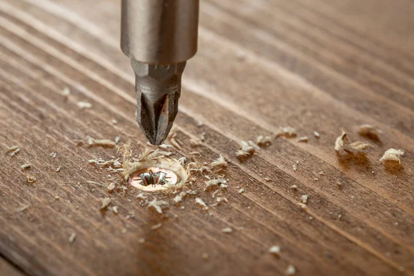 Self Tapping Screw Screwed Wooden Board Close Screw Wood — Stock Photo, Image