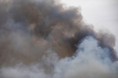 Büyük bir ateşten yükselen dumanlar, bulutlara benzer. Kümülüs bulutları.