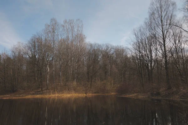 Spring landscapes with trees and water surface. Trees of different species - mixed forest.