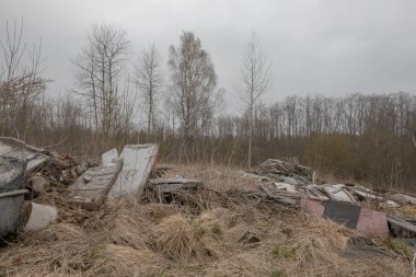 Orman kenarında bir köy çöplüğü. Baharın başında çıplak ağaçlar.