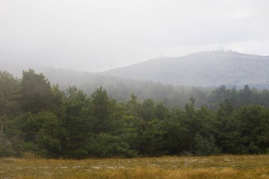 Yoğun siste gözlemevinden dağların ve tepelerin manzarası. Yoğun kozalaklı orman.