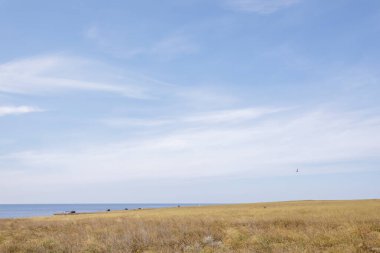 Güneşte kavrulmuş sarı çimenli bir tarla. Tüy bulutlarıyla deniz ve mavi gökyüzü.