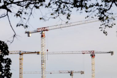 Farklı yüksekliklerde birkaç yüksek bina vinci olan bir şantiye..