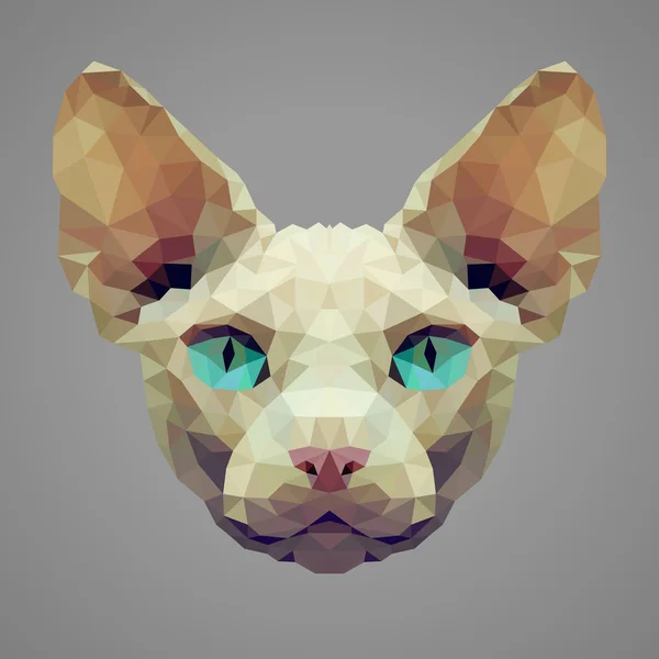 Sphynx chat low poly portrait — Image vectorielle