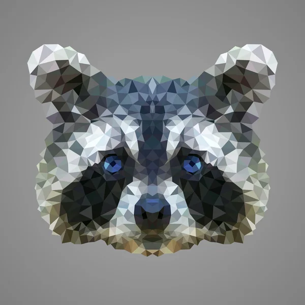 Tvättbjörn låg poly porträtt — Stock vektor