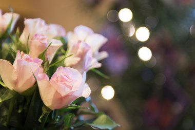 mazzo di rose rosa con luci sfocate sullo sfondo