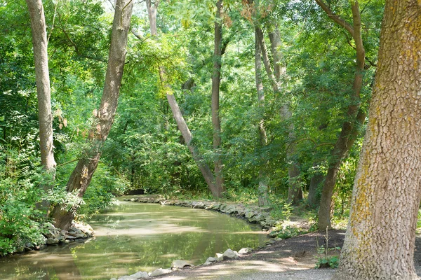 Sistema de riego en la reserva, el arroyo del canal en el bosque, paisaje de verano, bosque denso —  Fotos de Stock